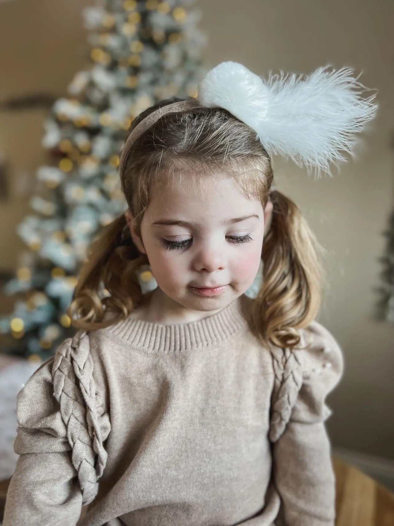 Anna Feather Headband