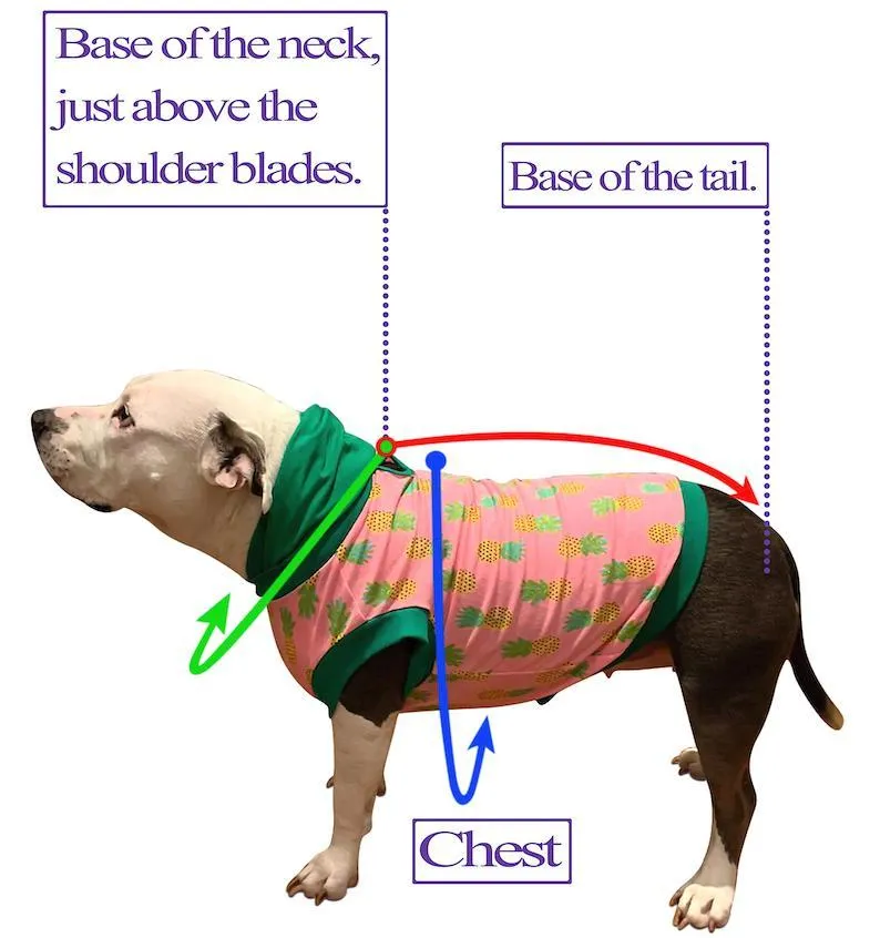 Bay Life (Crabs & Anchors) - PAWjama with Coral Neck & Trim/Sleeves