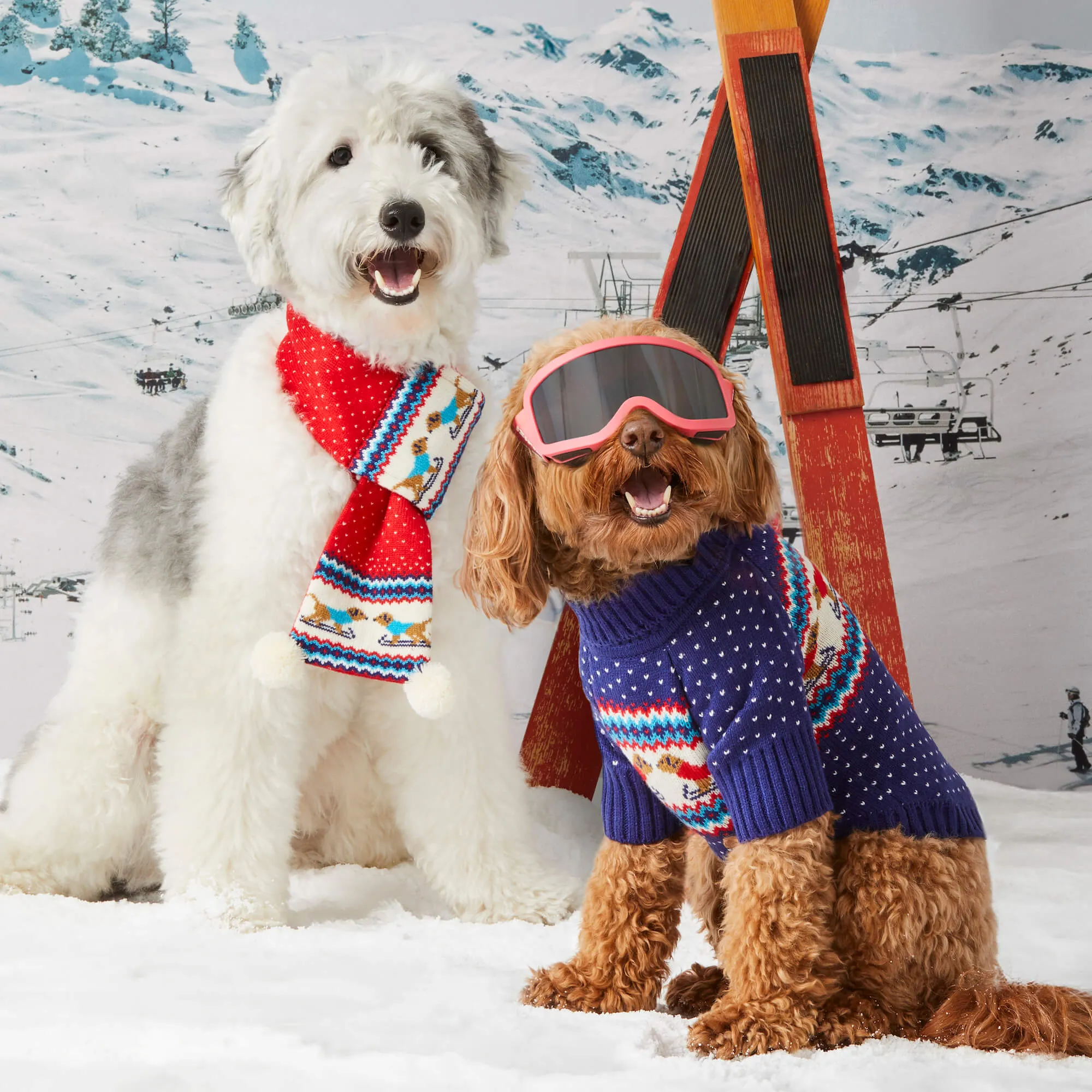 Gray Malin x TFD Hit the Slopes Dog Sweater