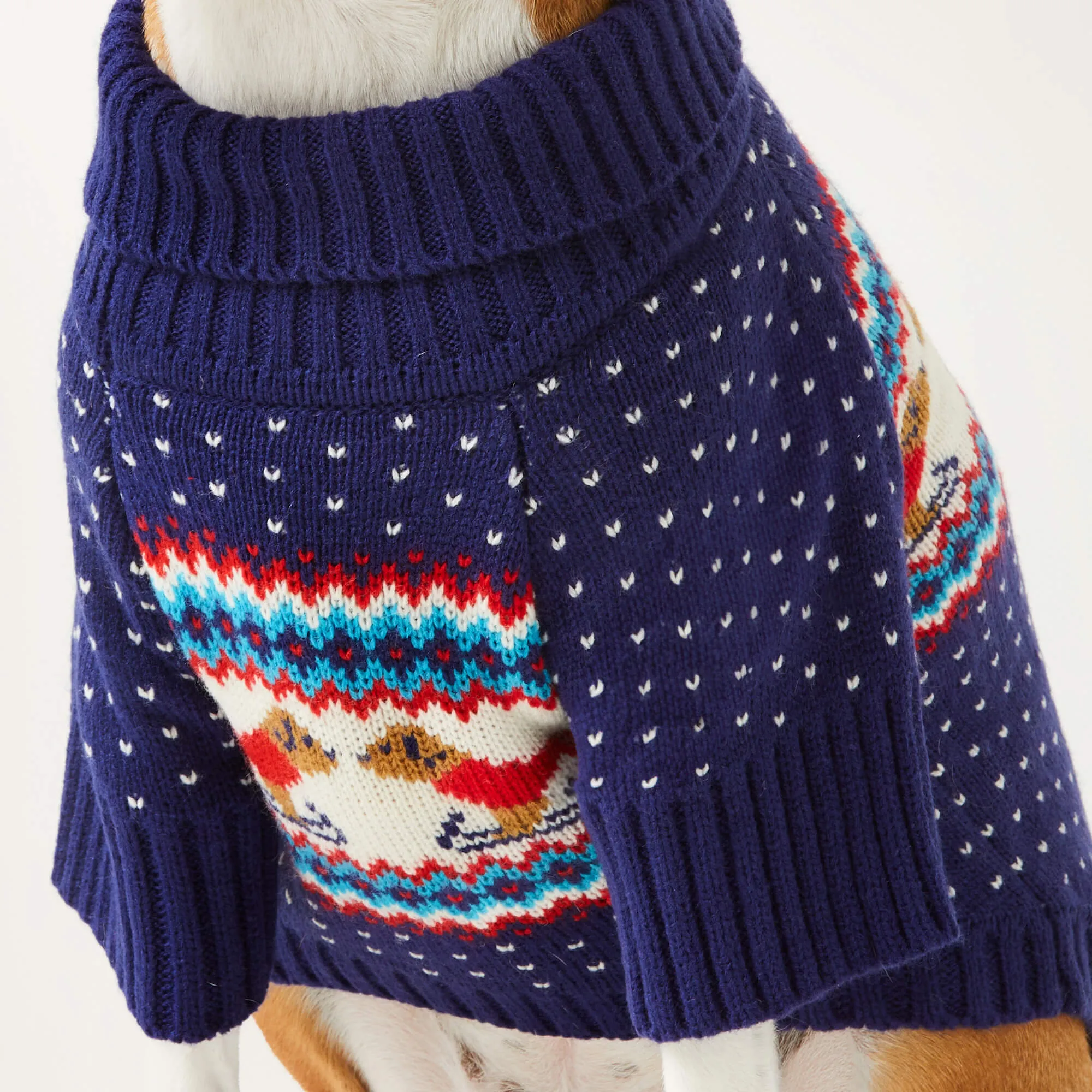 Gray Malin x TFD Hit the Slopes Dog Sweater