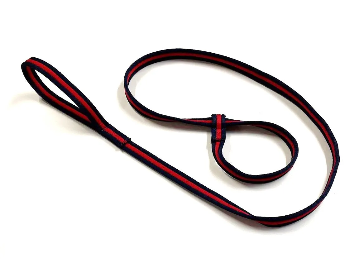 Safe Rescue 76" Dog Slip Lead With Handle 25mm Air Webbing