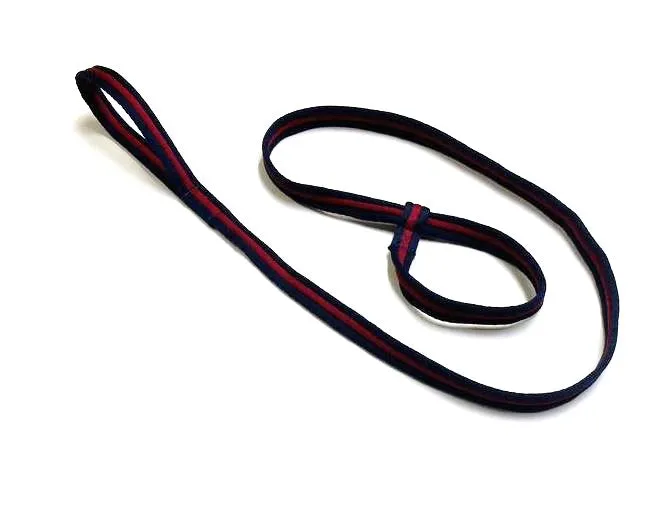 Safe Rescue 76" Dog Slip Lead With Handle 25mm Air Webbing