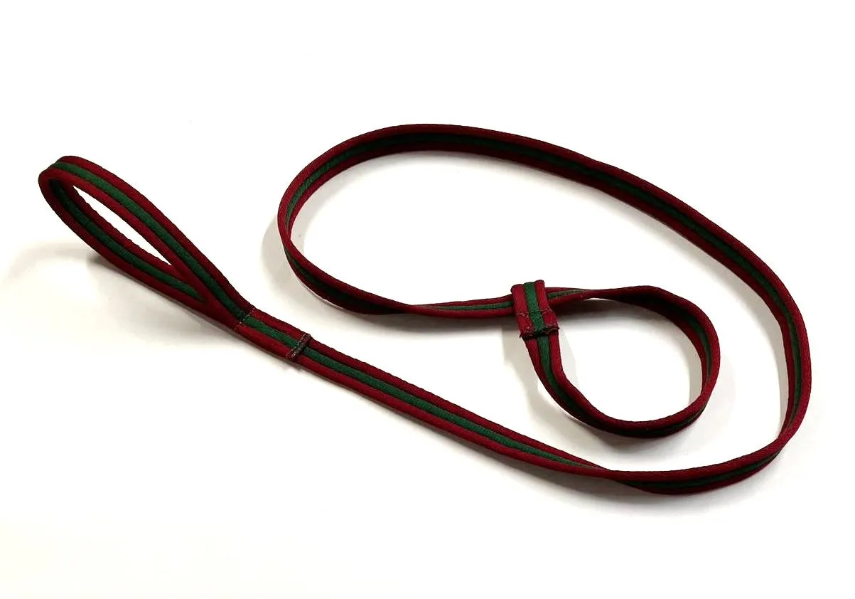 Safe Rescue 76" Dog Slip Lead With Handle 25mm Air Webbing