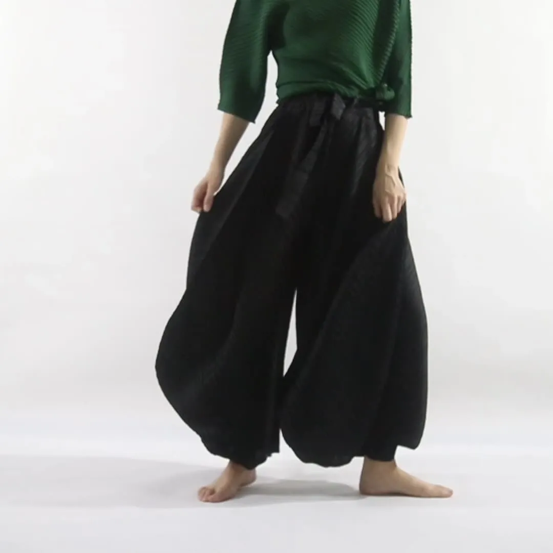 Wide Leg Harem Pants for Women: ALSEY Pleated Fashion Casual Plus Size Trousers